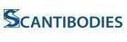 Logo scantibodies